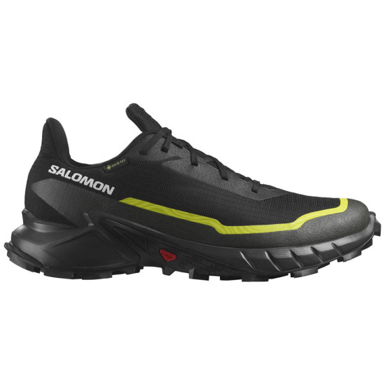 Salomon Alphacross 5 GTX